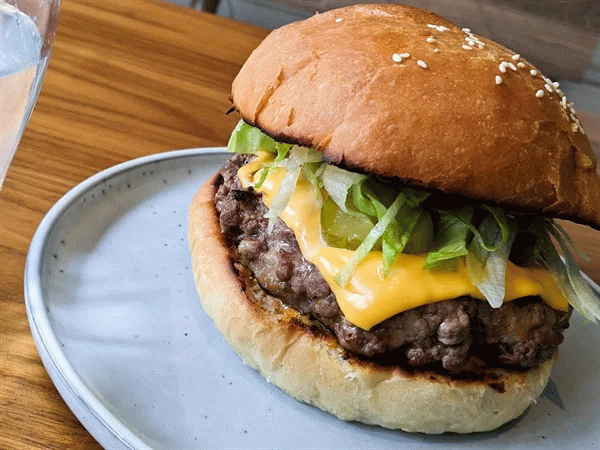 mega_burgery64