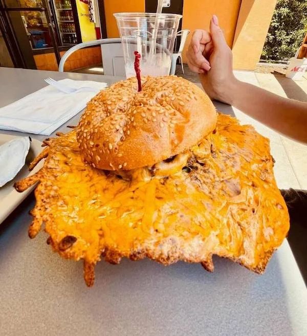 burger na dobry poczatek 71